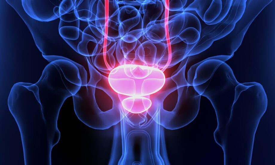 Quiz: How Much Do You Know About Your Prostate Health?