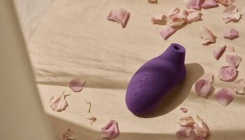 Sex Toy Review: LELO SONA 2 Cruise