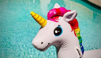 Finding and Caring for a Third in a Threesome: A Unicorn Guide